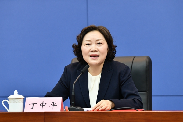 發(fā)布會(huì)上，重慶市民政局局長丁中平介紹相關(guān)情況。鄒樂攝