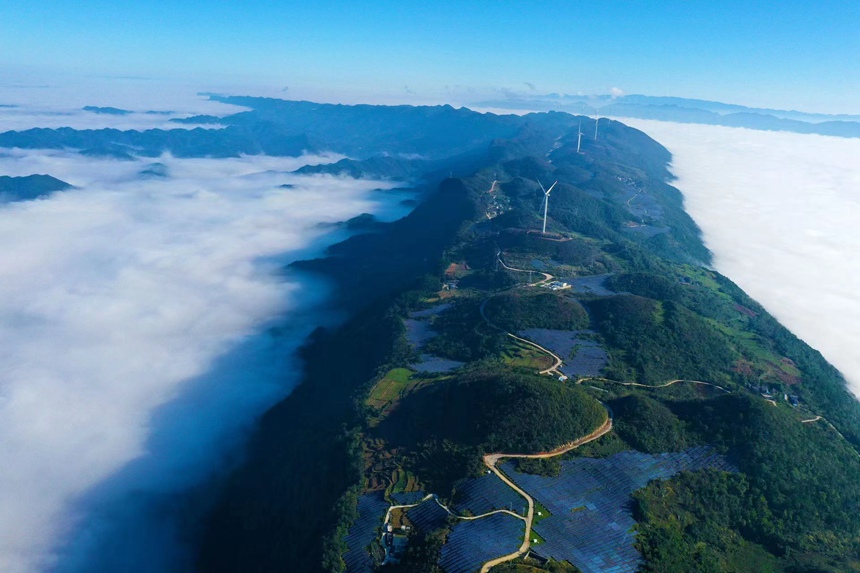重慶市黔江區(qū)麒麟蓋光伏發(fā)電站群貌。楊敏攝