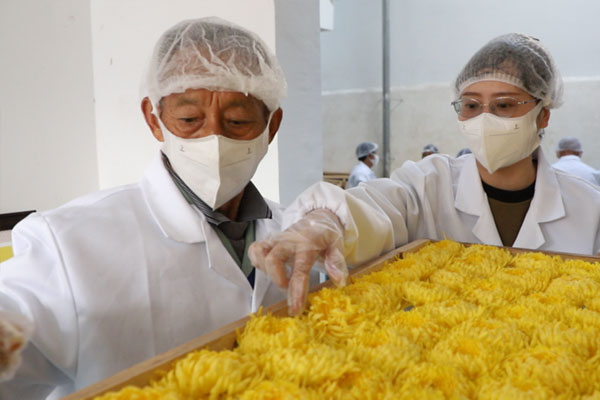 重慶市璧山區(qū)中醫(yī)院藥劑科人員錢雪梅（右一）在加工烘烤現(xiàn)場(chǎng)。重慶市璧山區(qū)中醫(yī)院供圖