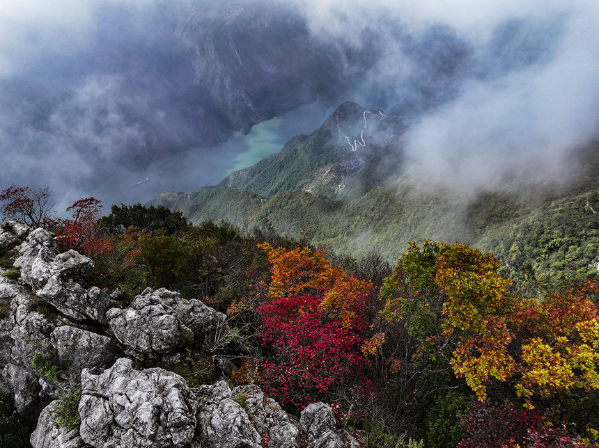 巫峽岸邊的紅葉。王正坤攝
