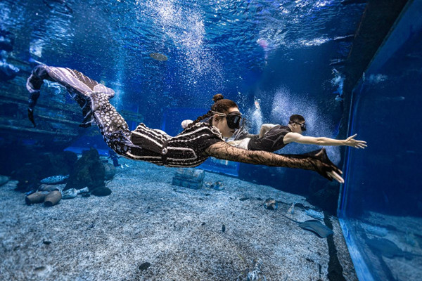 中國(guó)美人魚大賽無(wú)錫站比賽現(xiàn)場(chǎng)圖。主辦方供圖