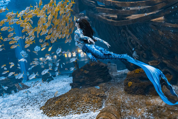 比賽現(xiàn)場(chǎng)圖。主辦方供圖