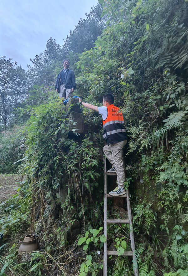 《登爬云梯排隱患，百姓安全重千鈞》10月5日，受連續(xù)降雨影響，云陽縣高陽鎮(zhèn)白元村村民屋后發(fā)生險情，重慶地質(zhì)礦產(chǎn)研究院駐守地質(zhì)工程師王松腳踩懸梯到村民屋后開展隱患調(diào)查，確定變形范圍，劃定危險區(qū)域，切實保障群眾生命財產(chǎn)安全。彭巍攝.