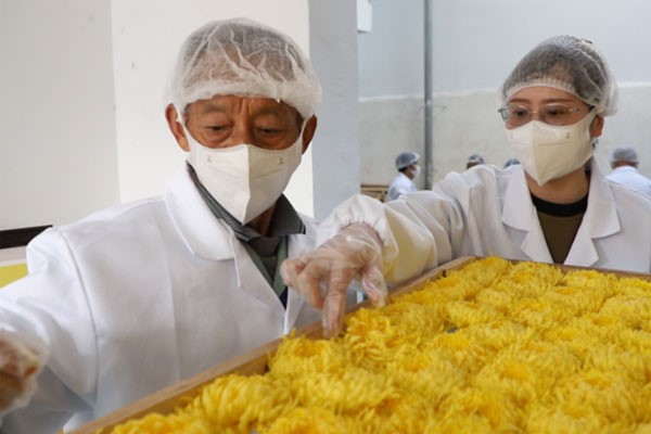 璧山區(qū)中醫(yī)院藥劑科人員錢雪梅（右一）在加工烘烤現(xiàn)場。璧山區(qū)中醫(yī)院供圖