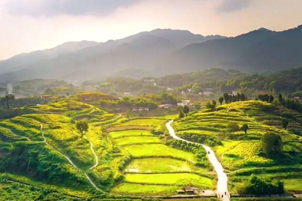 萬民村遠景。璧山區(qū)中醫(yī)院供圖