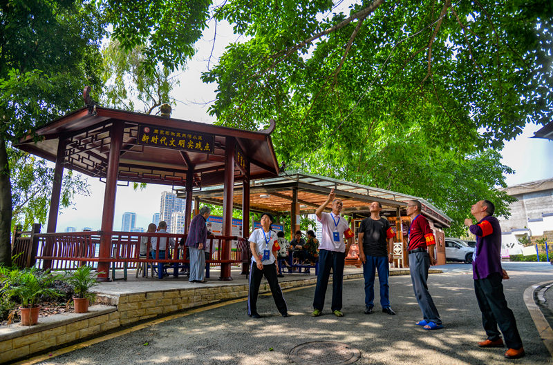 萬州區(qū)周家壩街道燕灣小區(qū)，樓棟長們正攜手共治小區(qū)。付作僑攝