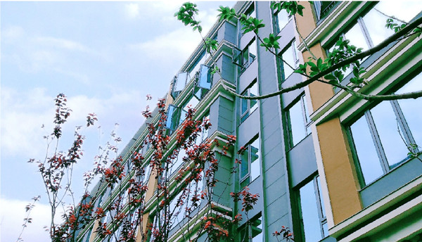 交付現(xiàn)場(chǎng)。中誠兩江印供圖