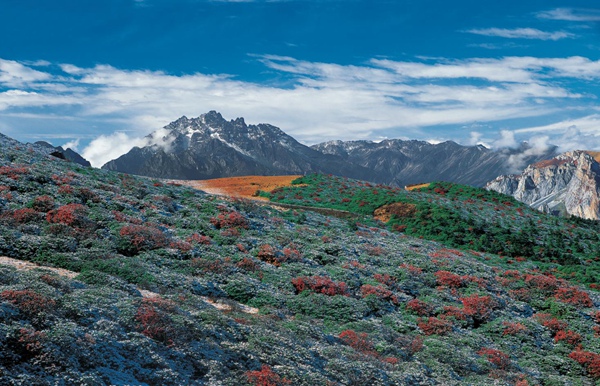 九鼎山風(fēng)光。茂縣文化體育和旅游局供圖