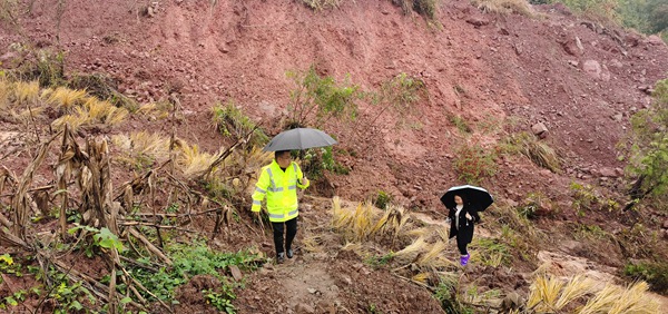 《守護(hù)者》（組圖）三。圖為11月9日，銅鼓鎮(zhèn)片區(qū)負(fù)責(zé)人趙祖群和水流村群測(cè)群防員王安然在兌窩子坪滑坡中心區(qū)域進(jìn)行排查，持續(xù)監(jiān)測(cè)地災(zāi)隱患點(diǎn)，防止次生災(zāi)害發(fā)生。劉勇攝