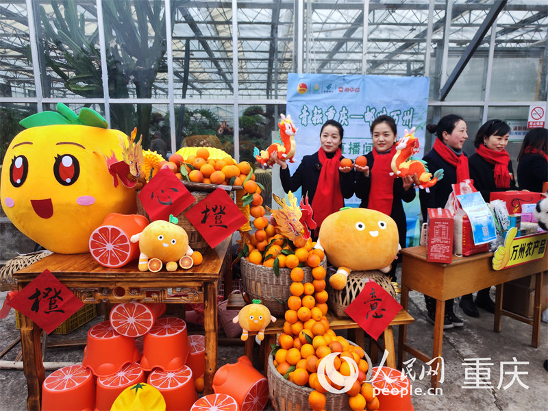 工作人員助力甘寧玫瑰香橙銷售。人民網(wǎng) 陳琦攝
