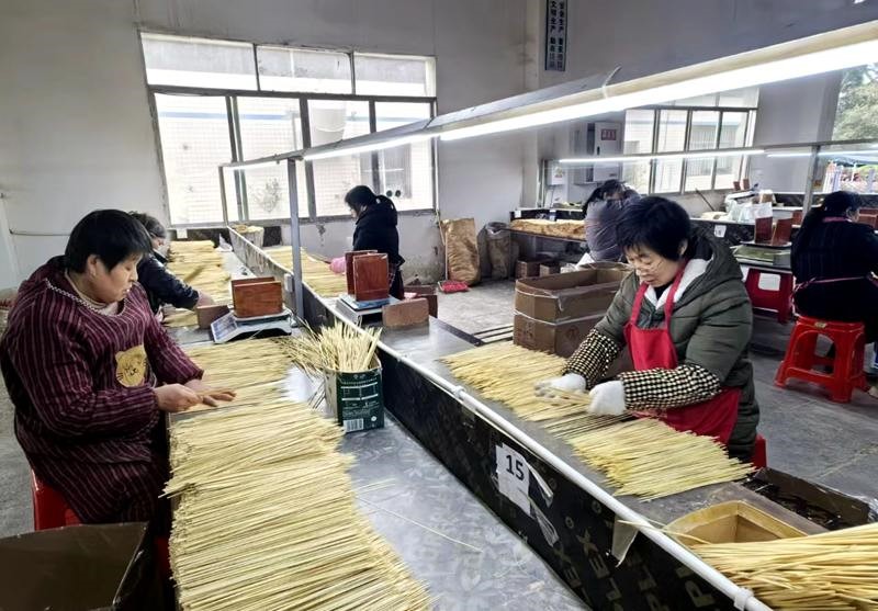 工人進(jìn)行竹簽分揀。黃亞輝攝