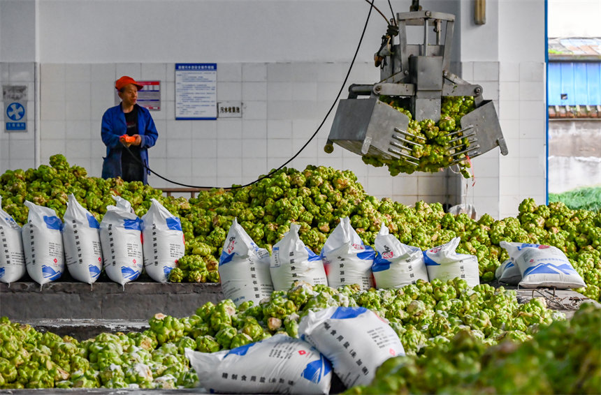 機(jī)械手臂來助力。付作僑攝 