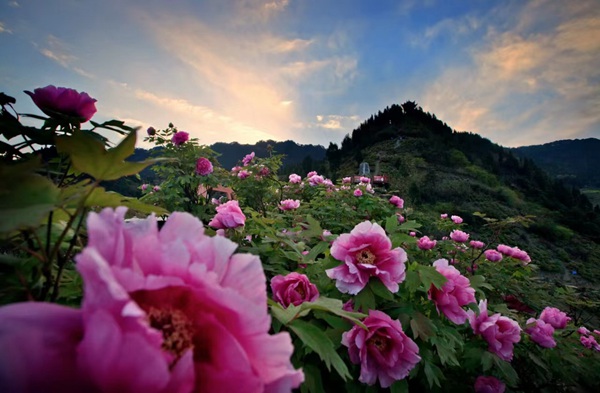 墊江愷之峰旅游區(qū)。墊江區(qū)文旅委供圖