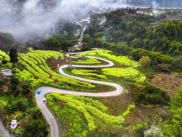 紅酒小鎮(zhèn)推出坐索道去春游。景區(qū)供圖