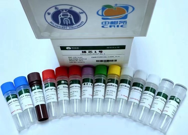 “橘芯1號”柑橘液相育種芯片。受訪者供圖
