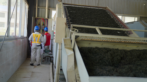 國家電網(wǎng)紅巖（秀山潤德）共產(chǎn)黨員服務(wù)隊(duì)隊(duì)員在秀山縣平馬猛董聯(lián)合茶葉加工廠檢查用電設(shè)備。萬雪蓮攝