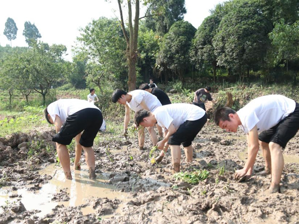 學(xué)校智能制造學(xué)院開(kāi)展“三下鄉(xiāng)”種空心菜助農(nóng)實(shí)踐活動(dòng)。重慶工貿(mào)職業(yè)技術(shù)學(xué)院供圖