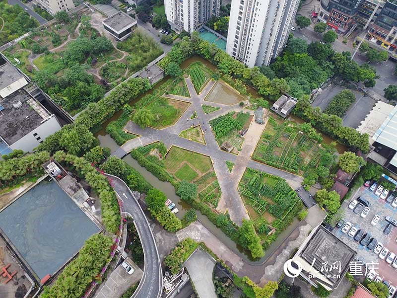 “樓頂農(nóng)場(chǎng)”位于30余米高的樓頂。 人民網(wǎng)記者 劉祎攝