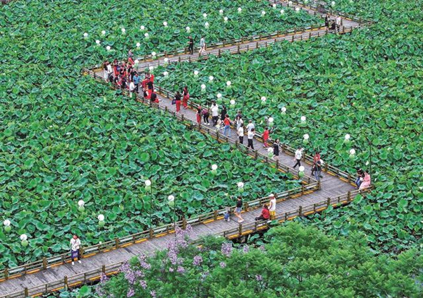 旅客在“荷月江岸”生態(tài)荷塘打卡游玩。華鎣市融媒體中心供圖