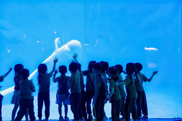 白鯨與小朋友們互動(dòng)。融創(chuàng)海世界供圖