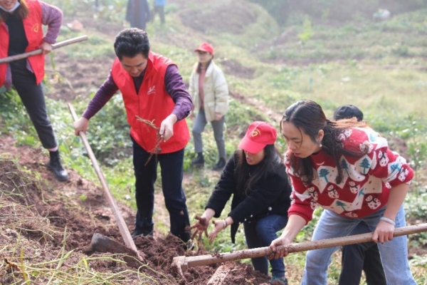 黨總支組織開展扶農(nóng)助農(nóng)活動(dòng)。合川區(qū)高陽小學(xué)