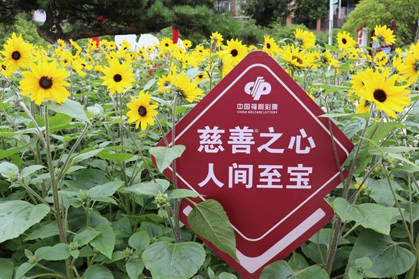 天衢公園既是一座愛情主題公園，也是一座福彩愛心公園。重慶福彩供圖