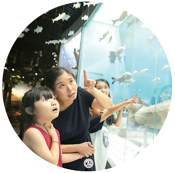 重慶自然博物館內(nèi)，觀眾正在參觀。秦廷富攝