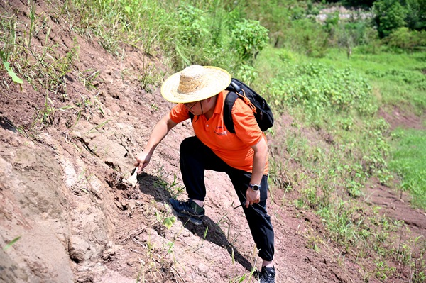 《地災(zāi)防治工作一刻不能停歇》。8月6日，氣溫較高，107地質(zhì)隊(duì)地質(zhì)工程師黃元君仍?shī)^戰(zhàn)在萬(wàn)州區(qū)武陵鎮(zhèn)，在消落帶沿線測(cè)量巖壁的節(jié)理裂隙產(chǎn)狀。地災(zāi)防治工作一刻不能停歇，氣溫雖高，地質(zhì)工程師們卻克服困難，奮戰(zhàn)在山野之間。傅林?jǐn)z