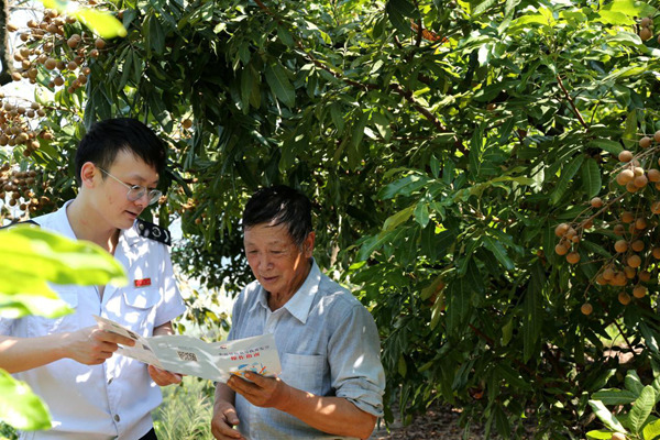 在云陽縣盤龍街道四民村龍眼種植基地，稅務人員向基地負責人講解“農(nóng)品慧”平臺開票流程。唐金榮攝