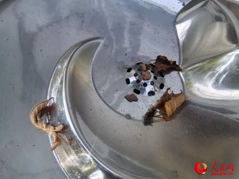 金海灣公園沿線，管理不當(dāng)?shù)闹憋嬎c(diǎn)位出水口下方水槽中，有落葉、死蟲等垃圾。姚於攝