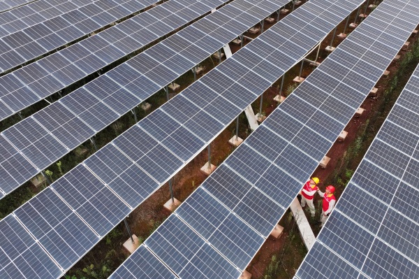 少云村的光伏場。國網(wǎng)重慶電力供圖