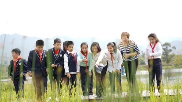 楊君玲帶學生到雙桂湖濕地公園上濕地自然課。受訪者供圖