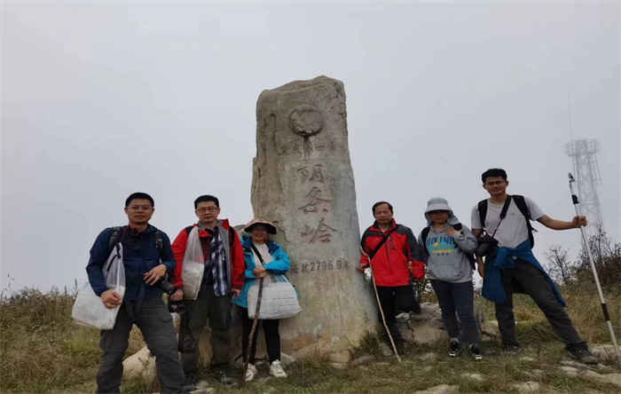 重慶市中藥研究院中藥資源團(tuán)隊(duì)成員在陰條嶺。危永勝拍攝