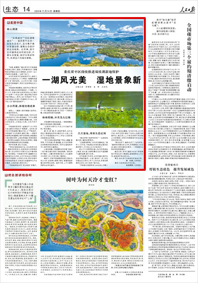 《 人民日?qǐng)?bào) 》（ 2024年11月14日 14 版）