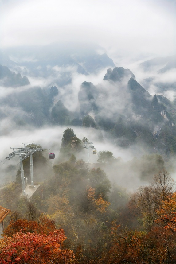 云霧與彩葉同框。任峰攝