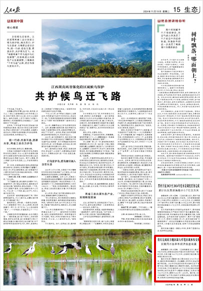 《 人民日?qǐng)?bào) 》( 2024年11月19日 15 版)