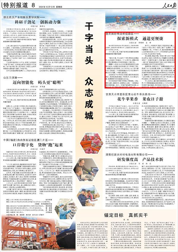 《 人民日?qǐng)?bào) 》（ 2024年12月12日 08 版）