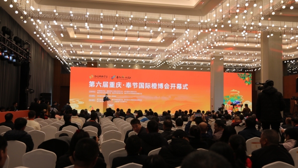 第六屆重慶·奉節(jié)國(guó)際橙博會(huì)開幕。劉濱清攝