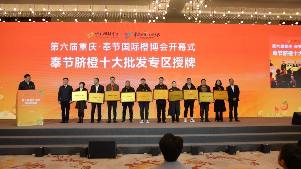 奉節(jié)臍橙十大批發(fā)專區(qū)授牌。劉濱清攝