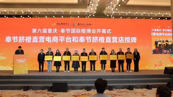 奉節(jié)臍橙直營(yíng)電商平臺(tái)和奉節(jié)臍橙直營(yíng)店授牌。劉濱清攝