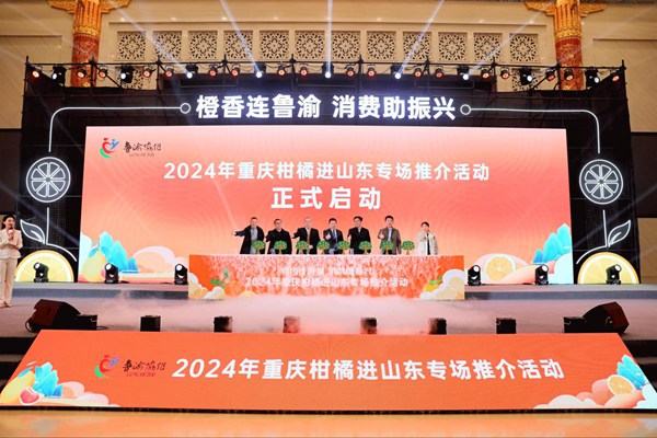 活動現(xiàn)場。主辦方供圖