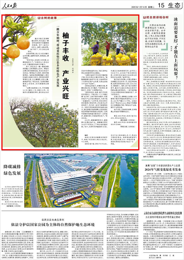 《 人民日?qǐng)?bào) 》（ 2025年01月14日 15 版）