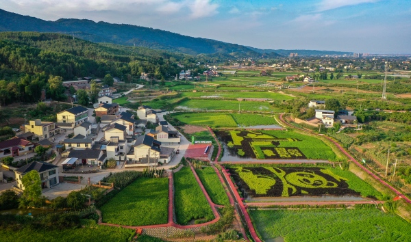 雙昌產業(yè)園。榮昌區(qū)委宣傳部供圖