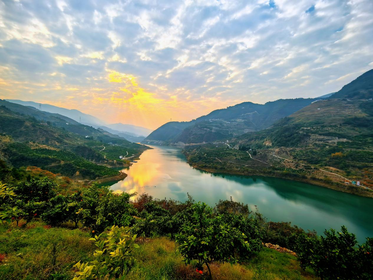 柳池村臍橙產(chǎn)業(yè)園風(fēng)光。李征攝