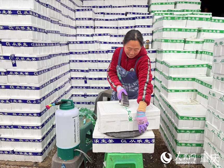 店員正在打包生姜。人民網(wǎng)記者 胡虹攝