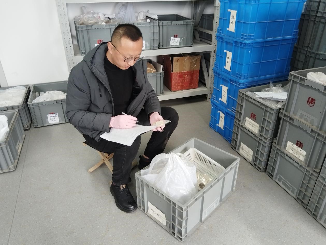 楊鵬強(qiáng)在整理文物資料。馮耀攝