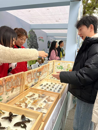 蝴蝶標(biāo)本展示。周小平攝