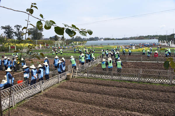 參觀津地禾教學(xué)點(diǎn)。江津區(qū)教委供圖