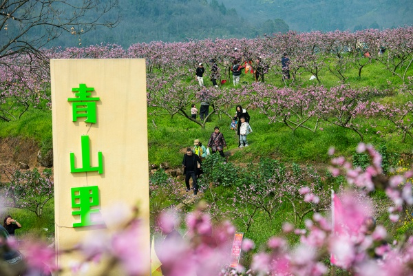 市民在果園里暢游。冉孟軍攝