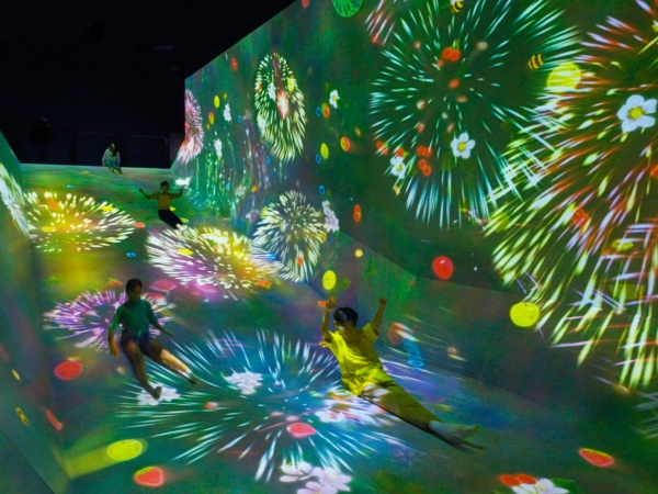 展出場景。主辦方供圖